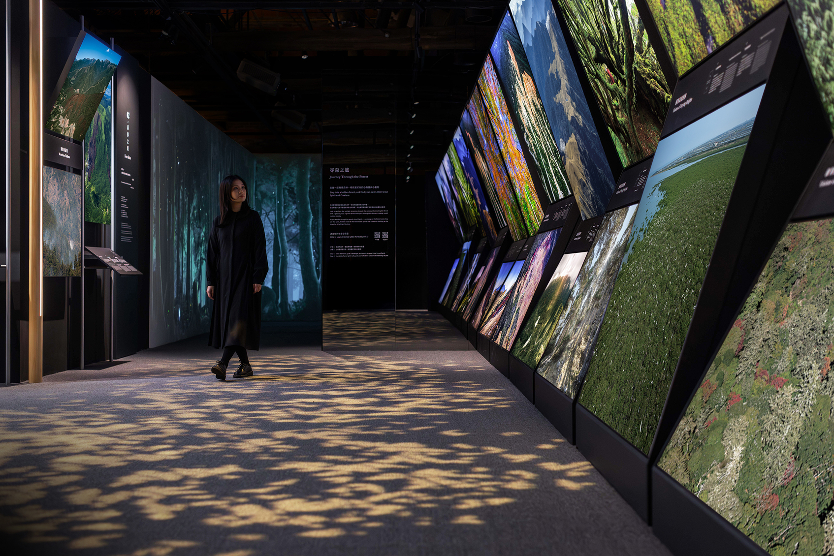 2025 Chi Po-Lin Museum Exhibition - Forest Bond-1