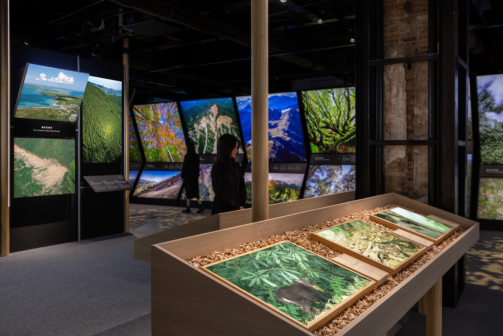 2025 Chi Po-Lin Museum Exhibition - Forest Bond-3