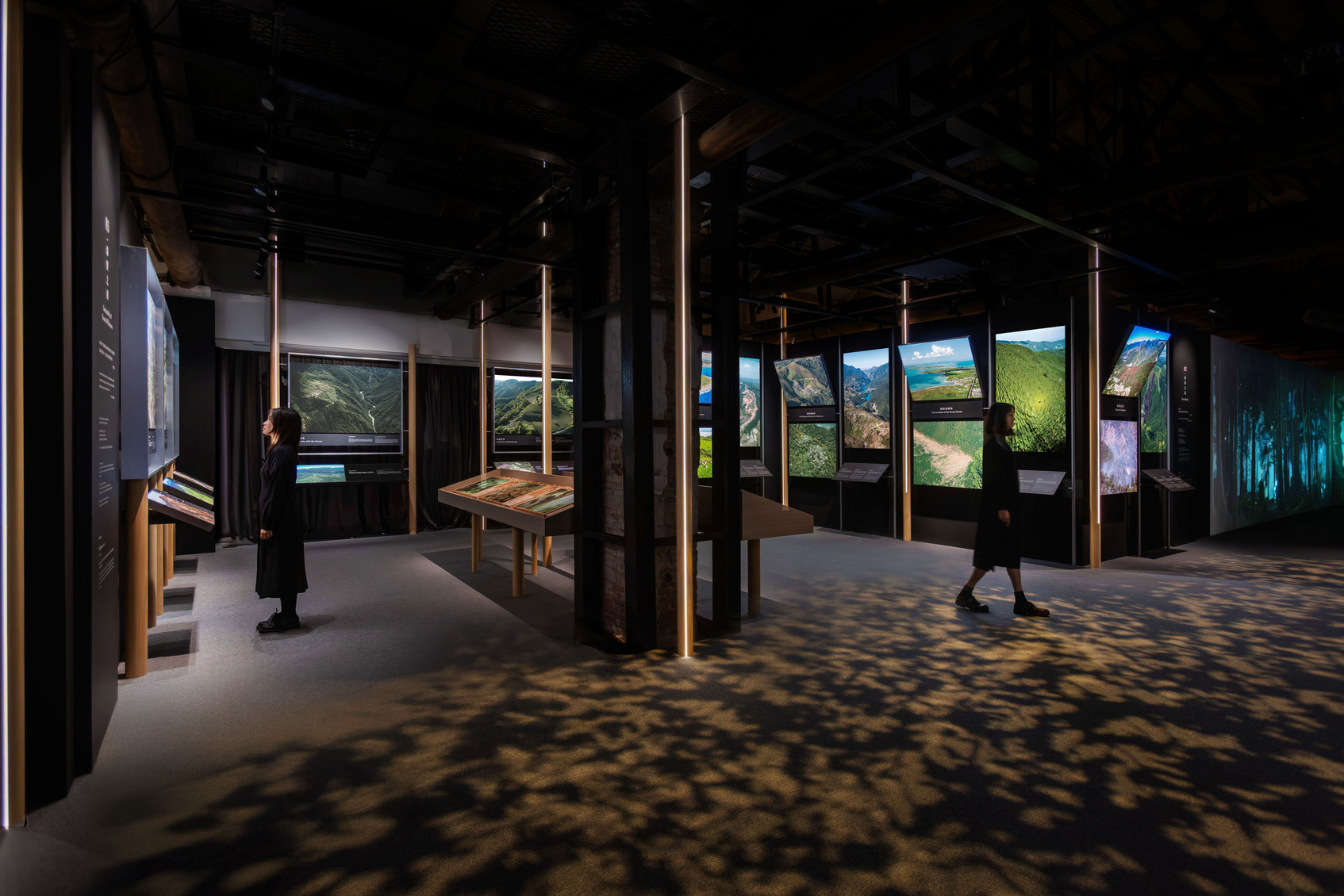 2025 Chi Po-Lin Museum Exhibition - Forest Bond-4