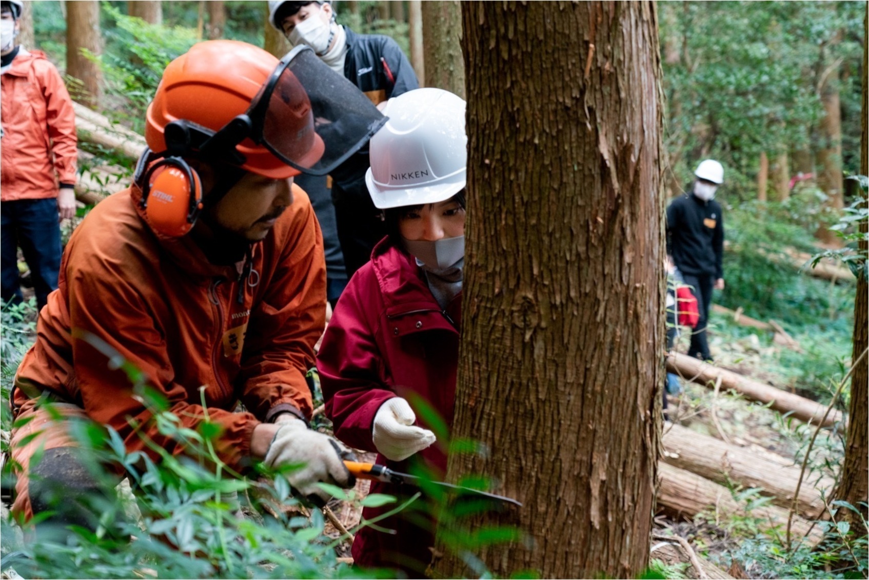 Sin-rin: Redefined CSR Initiative Aimed at Building Forest-Connected Communities-3