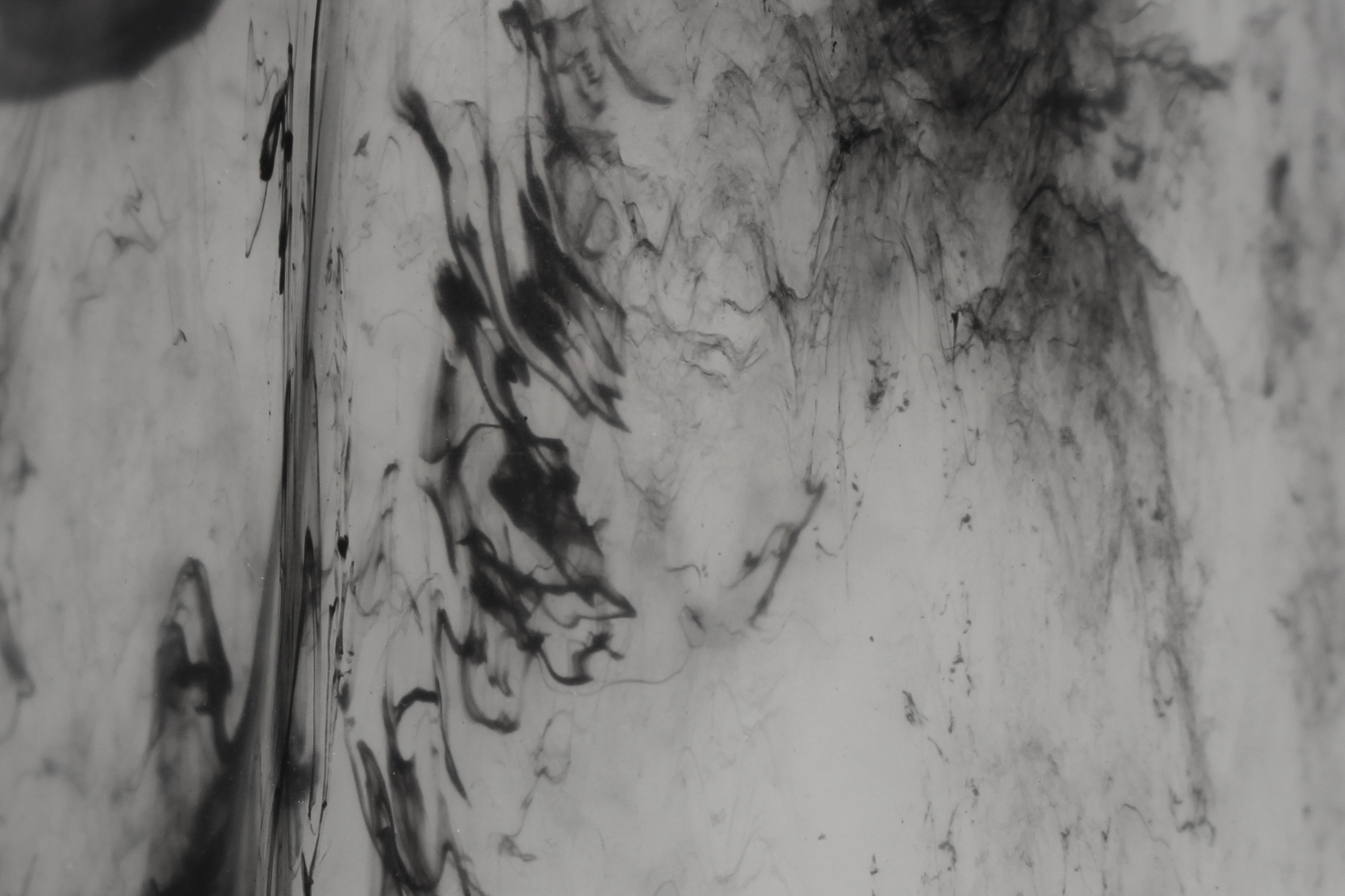 Language of rPP Colors-4