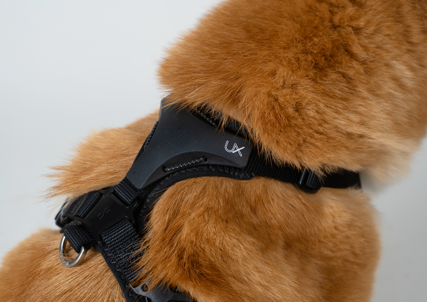 Ultra Explore︱終極胸背帶-3