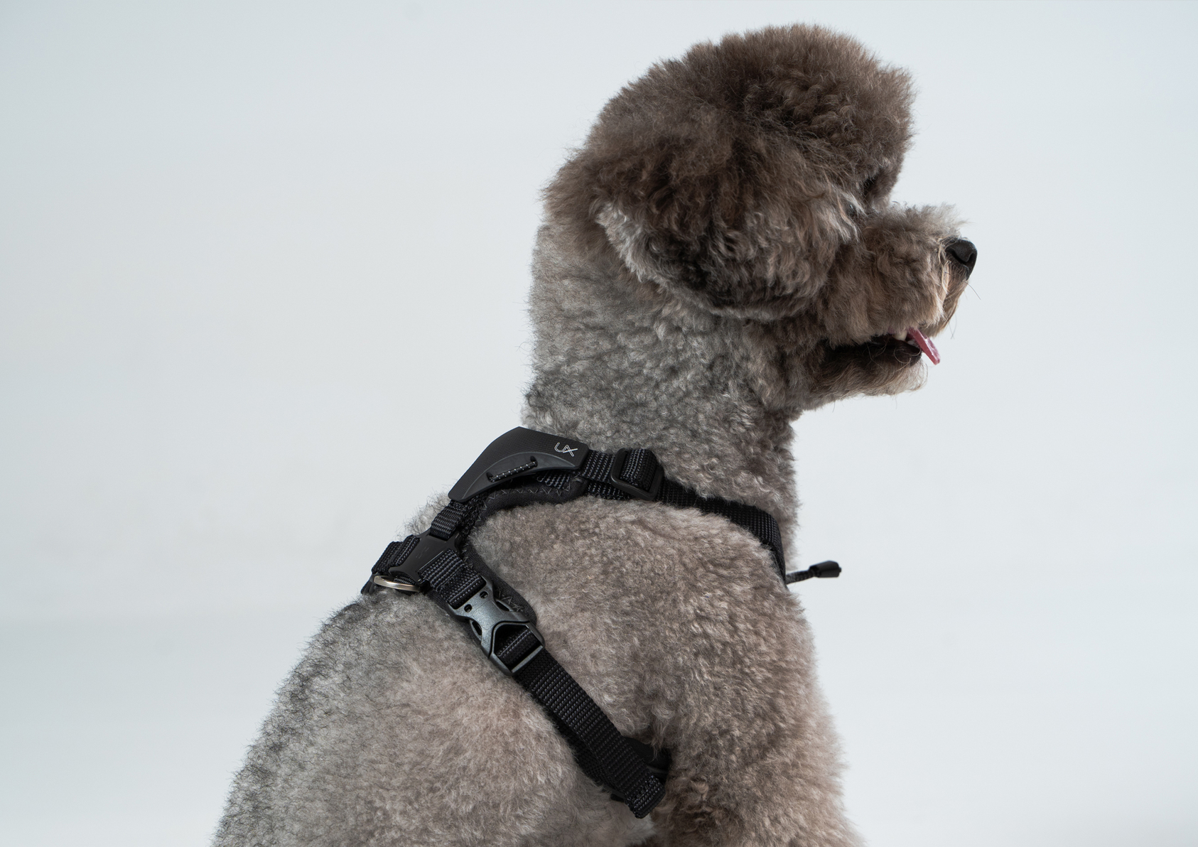 Ultra Explore︱終極胸背帶-4