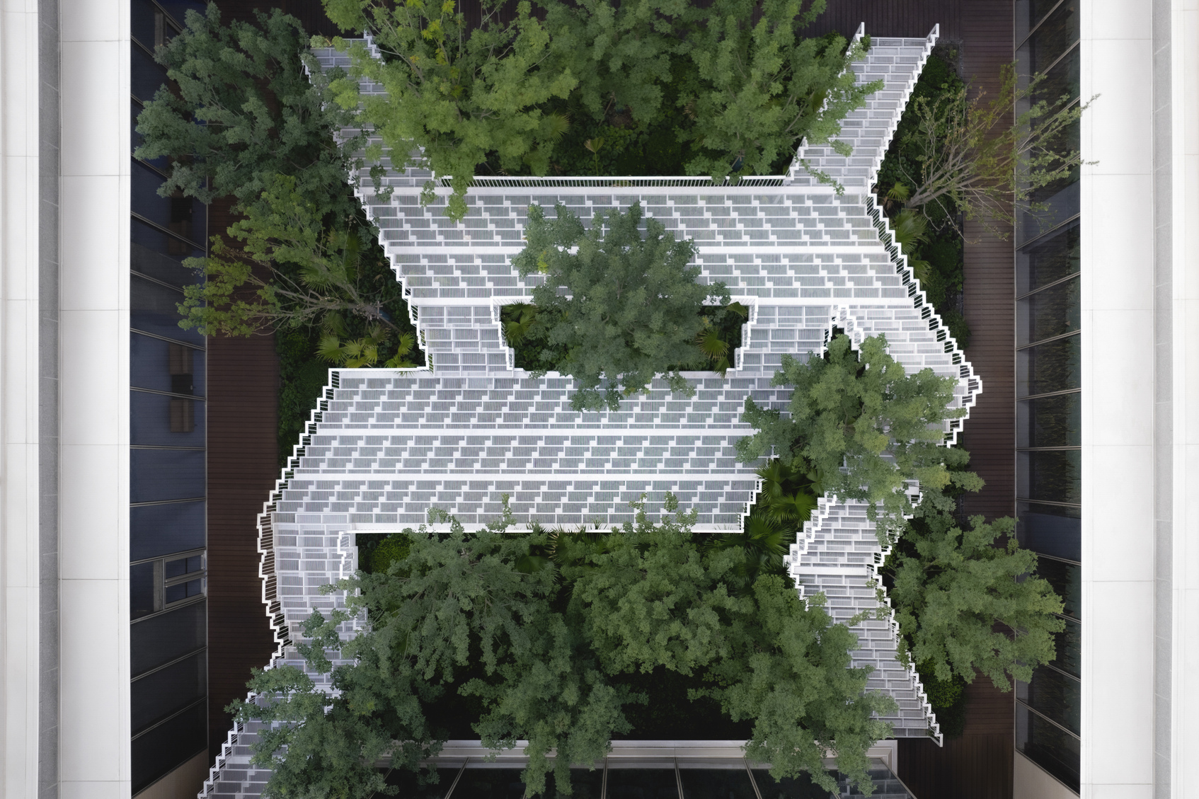 LACY STEPS-1