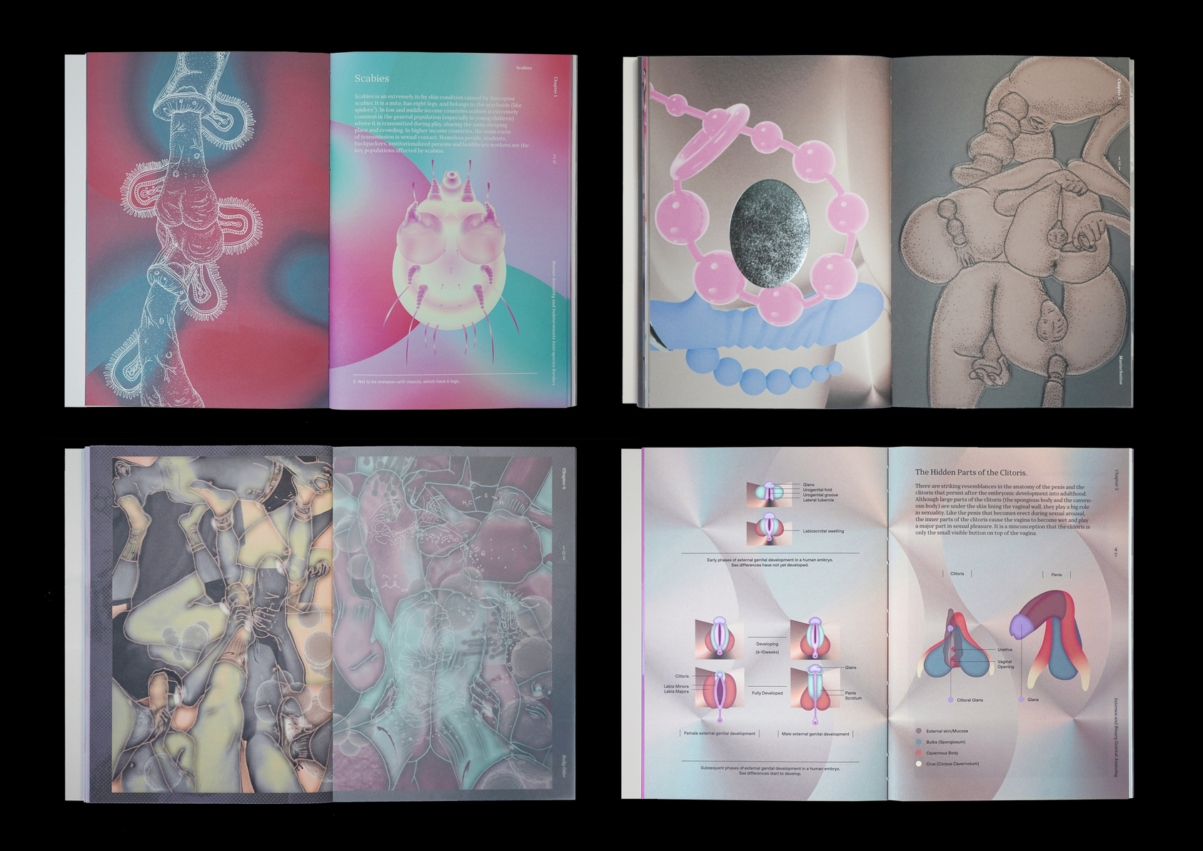 Atlas of Queer Anatomy-3