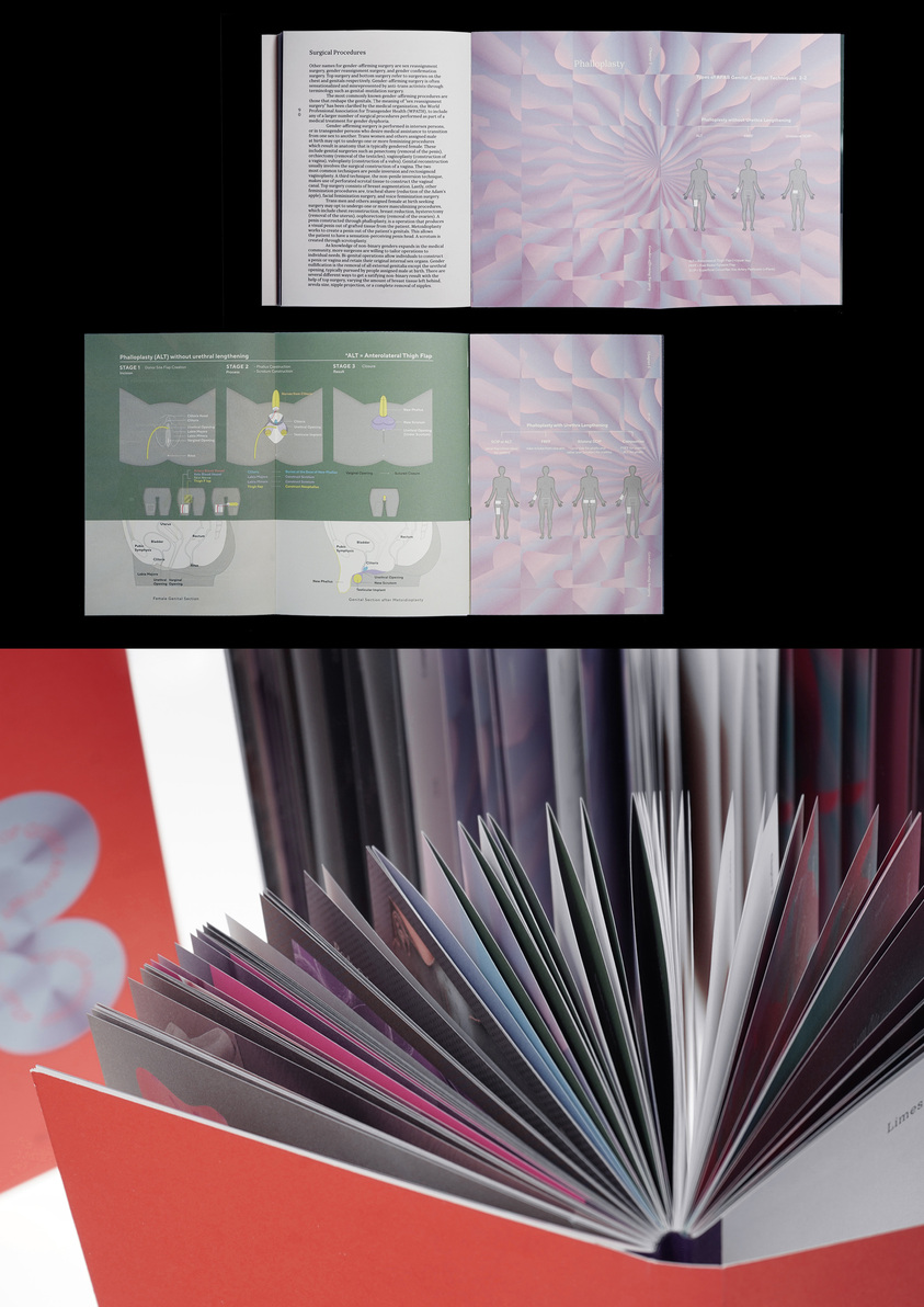 Atlas of Queer Anatomy-4