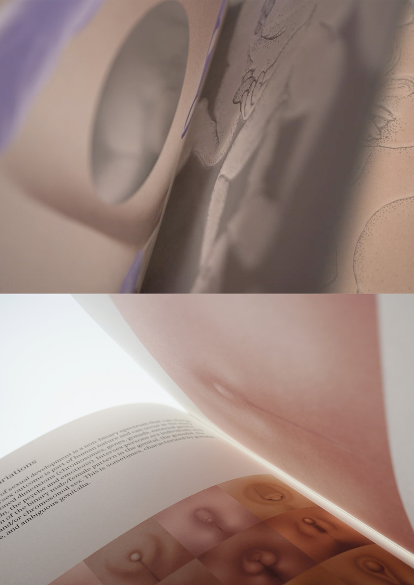 Atlas of Queer Anatomy-5