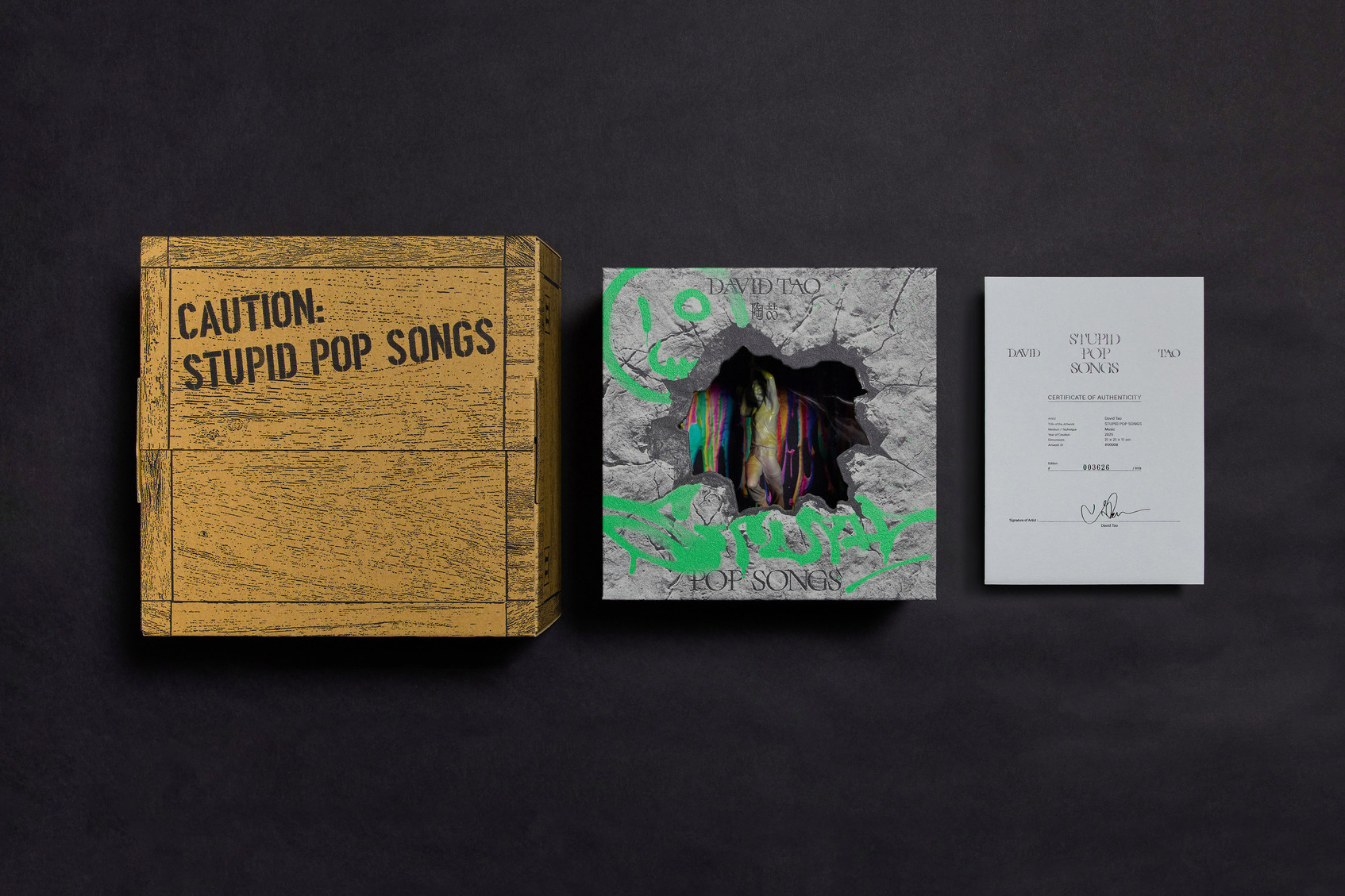 Album design for David Tao’s Stupid Pop Song-5