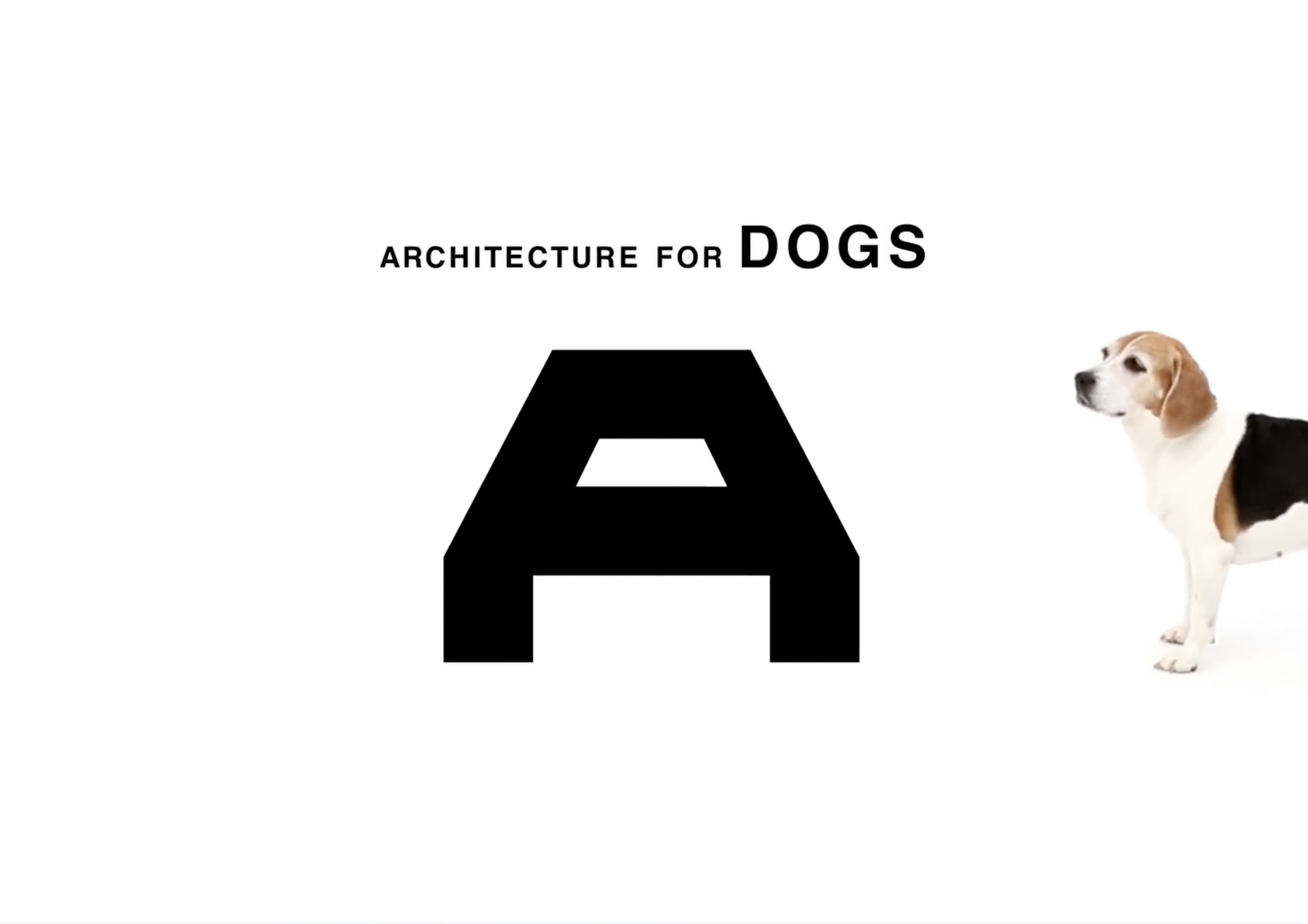 Architecture For Dog-1