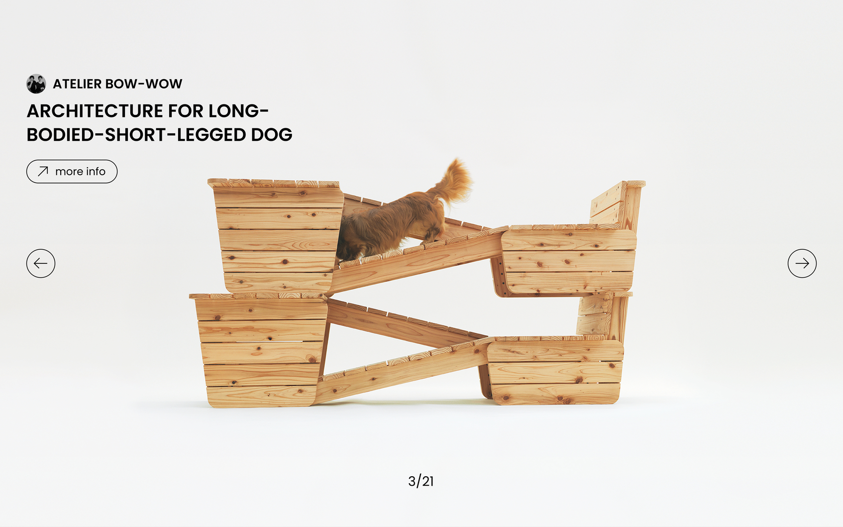 Architecture For Dog-2