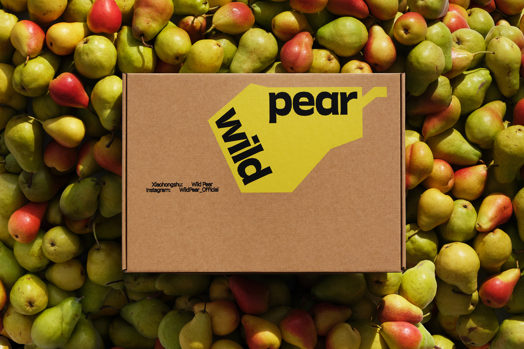 Wild Pear 野梨-1