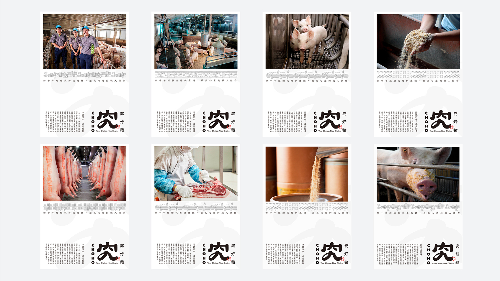 CHOHO Pig Brand Identity & Packaging Redesign-5