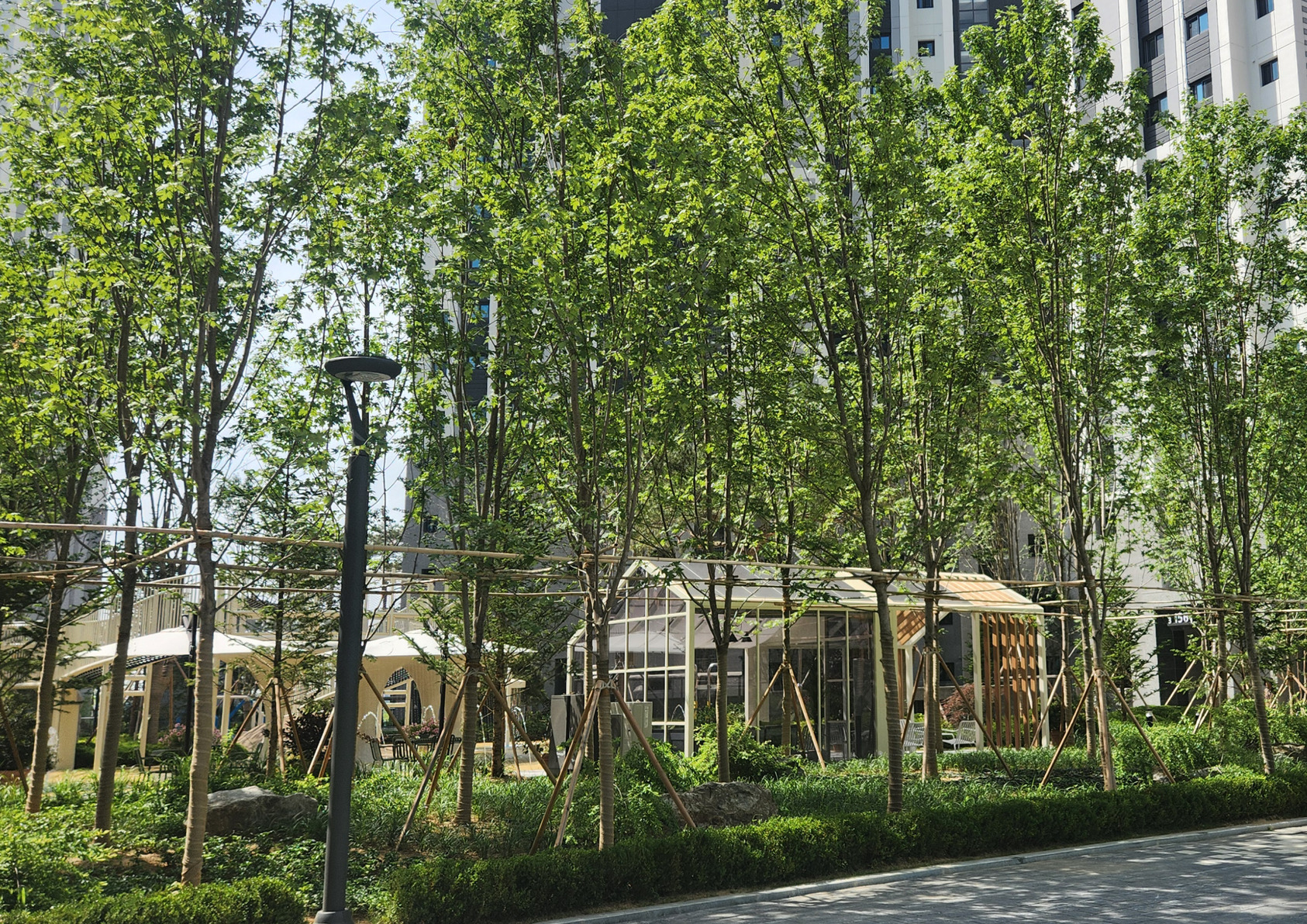 THE CANOPY PLAYWALK: Where the Forest Plays-7