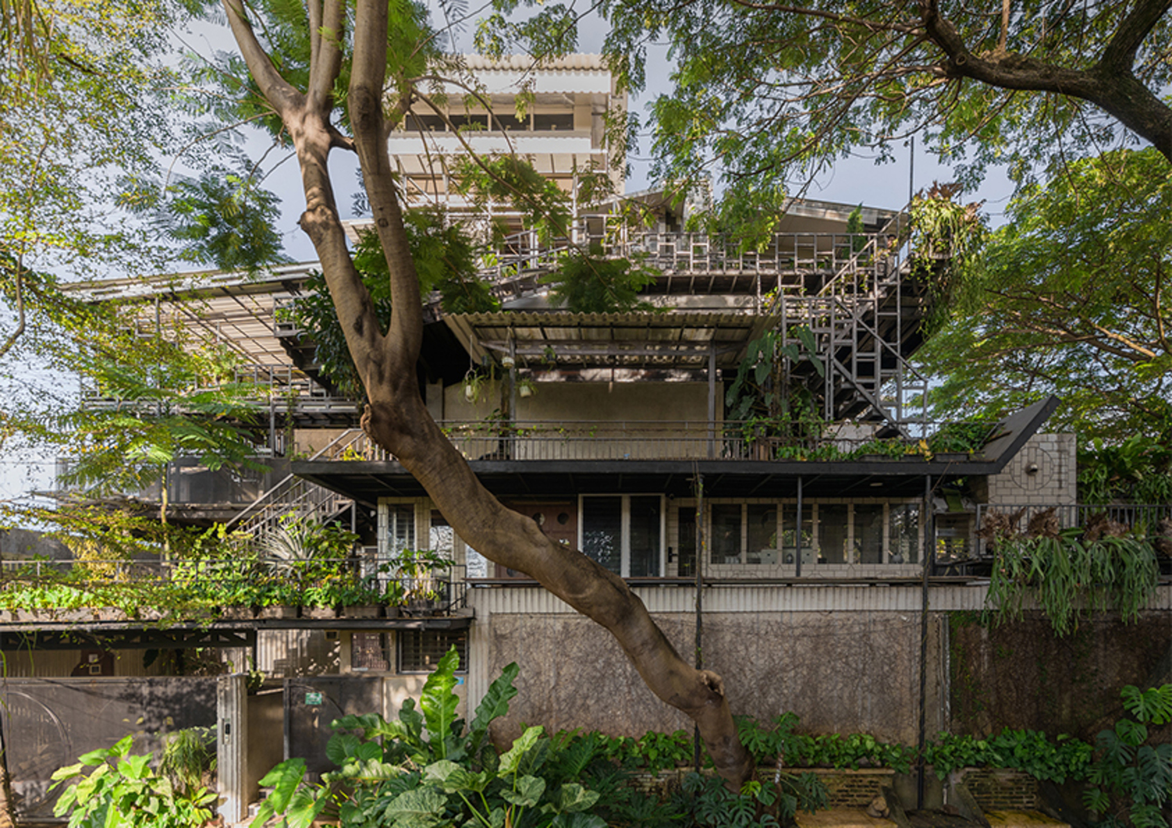 Kampoong Guha-1