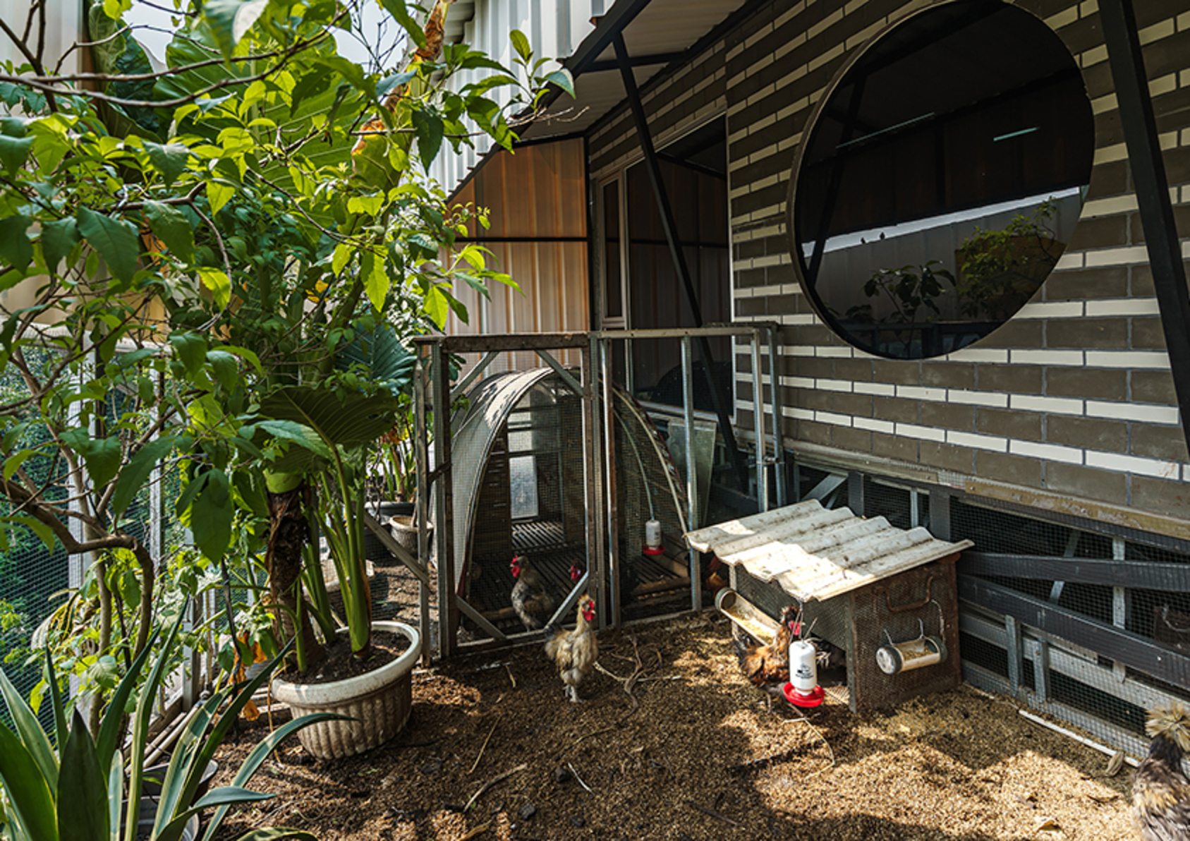Kampoong Guha-9