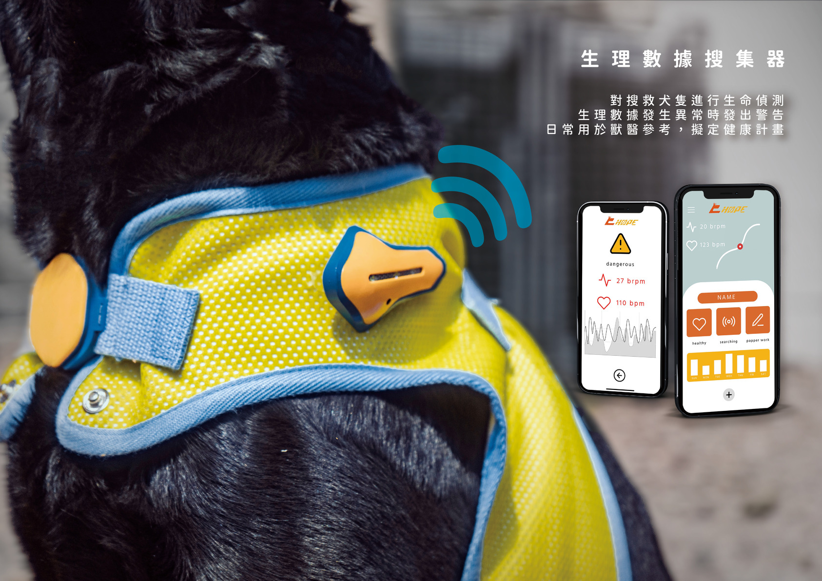 C-hope Search and Rescue Dog Intelligent Protective Clothing-3