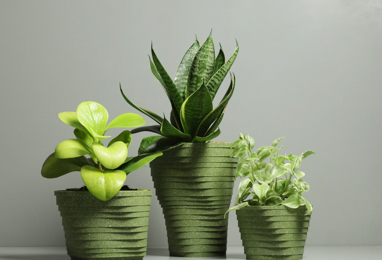 Product Design-Homeware