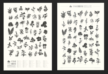 Communication Design-Graphic design