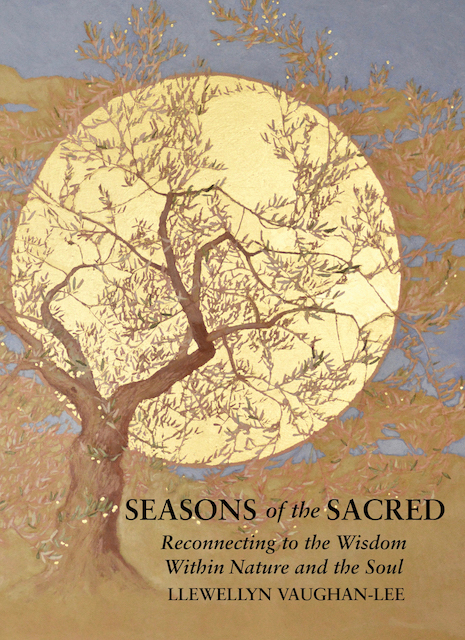 Book Cover: Seasons of the Sacred