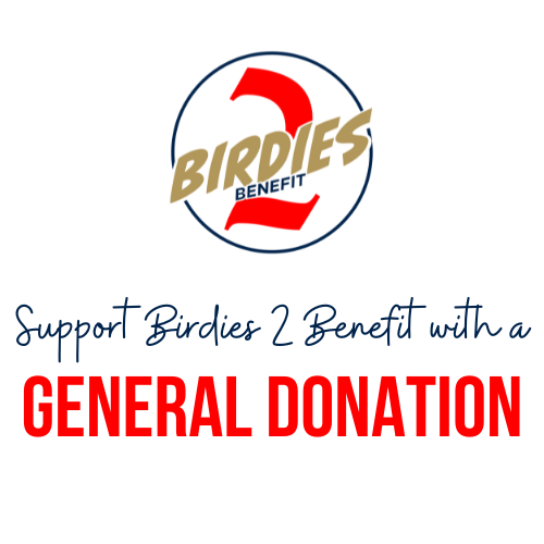 Support B2B with a General Donation