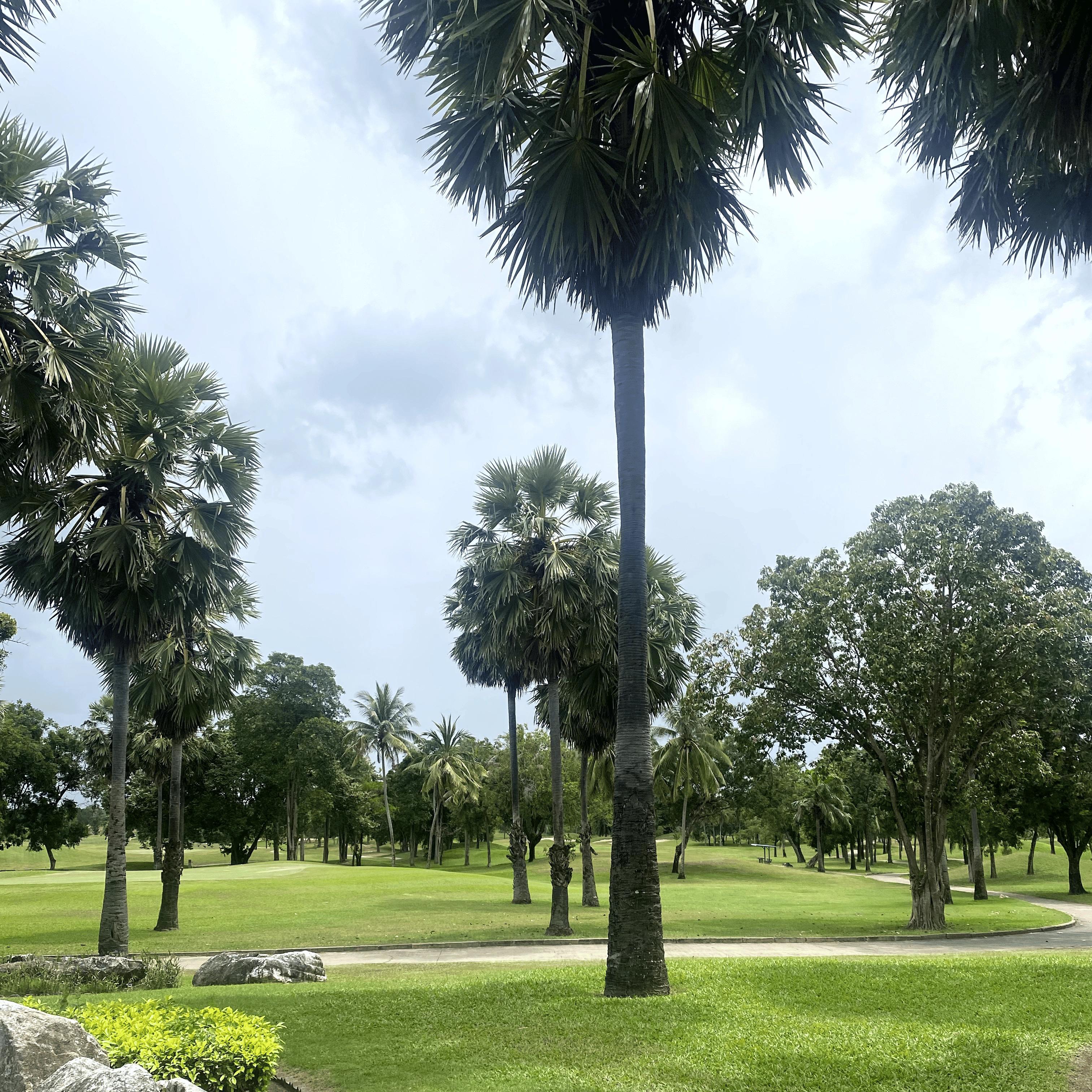 nawarit longkhum golf review photo at Lake View Resort & Golf Club, Thailand