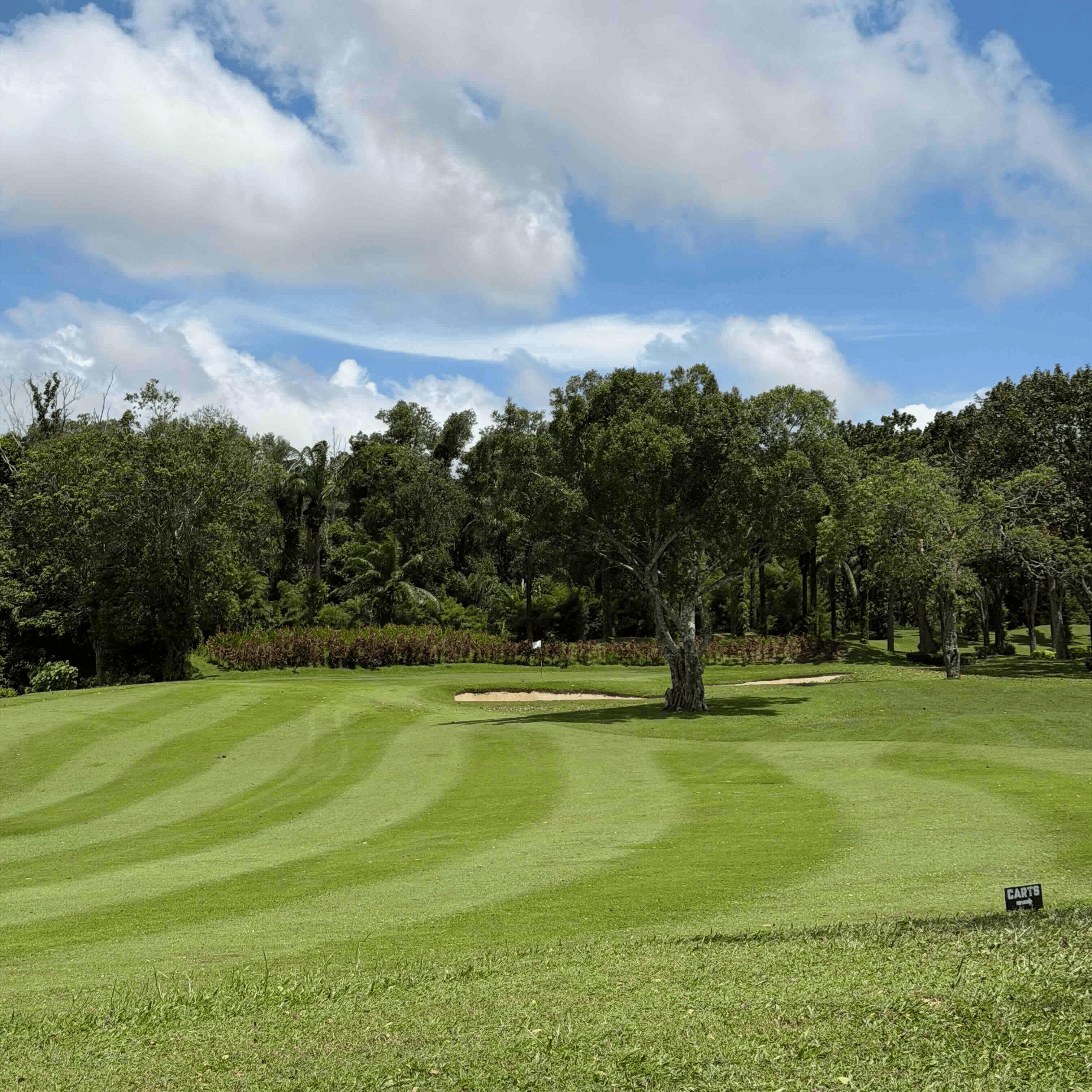 Thera Siricharoen   golf review photo at Blue Canyon Country Club (Lake Course), Thailand