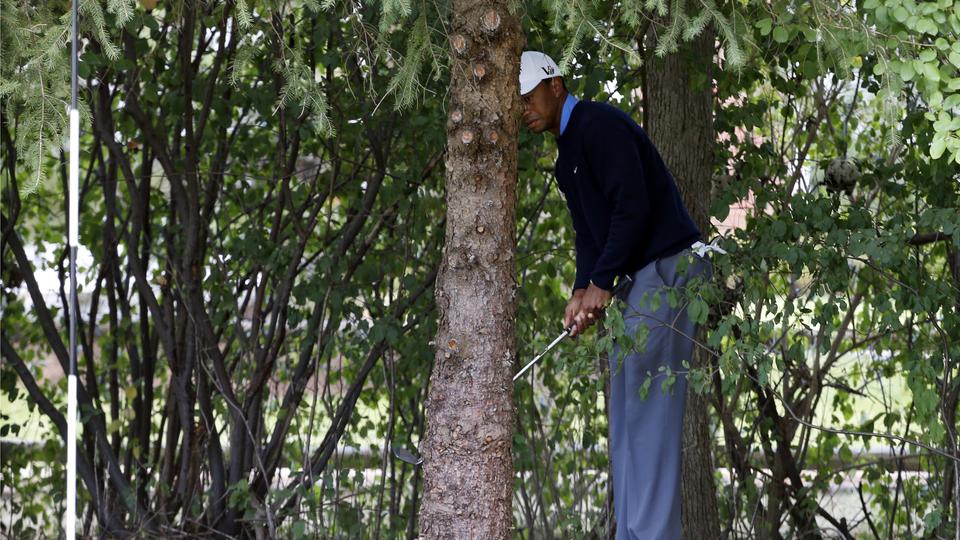 Tiger Woods