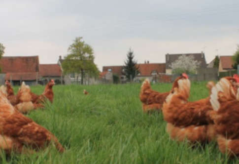 La Ferme Des Parrichets Mouroux France Golookall