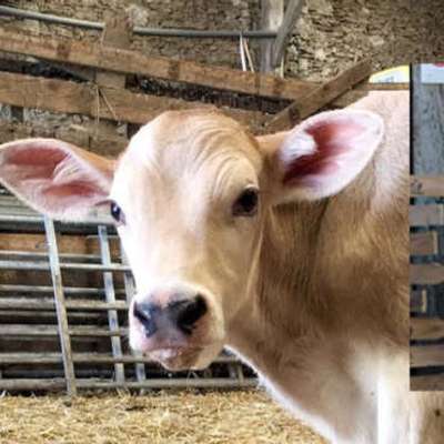 Logo Ferme de Courcelles