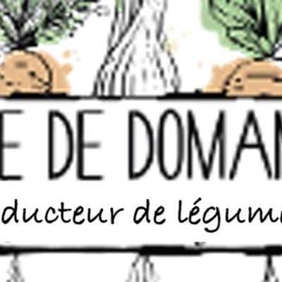 Logo Maraicher de Domangeville