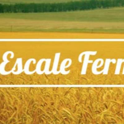 Logo Escale fermière