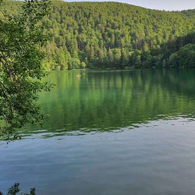 Logo Lac du Ballon