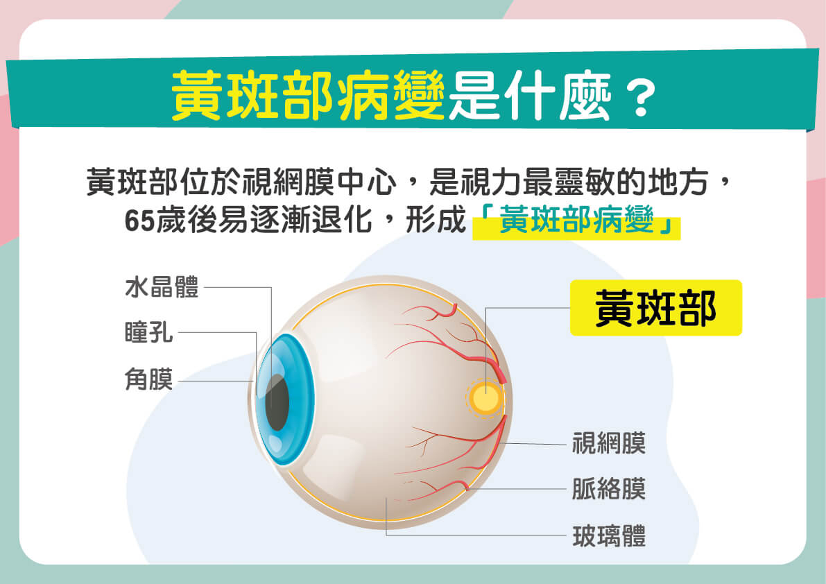 （圖/ 翻攝自今健康）