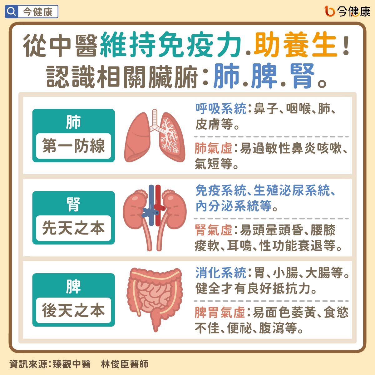 #林俊臣 #免疫力 #免疫 #穴位 #按摩 #臻觀中醫 #臻觀 #中醫