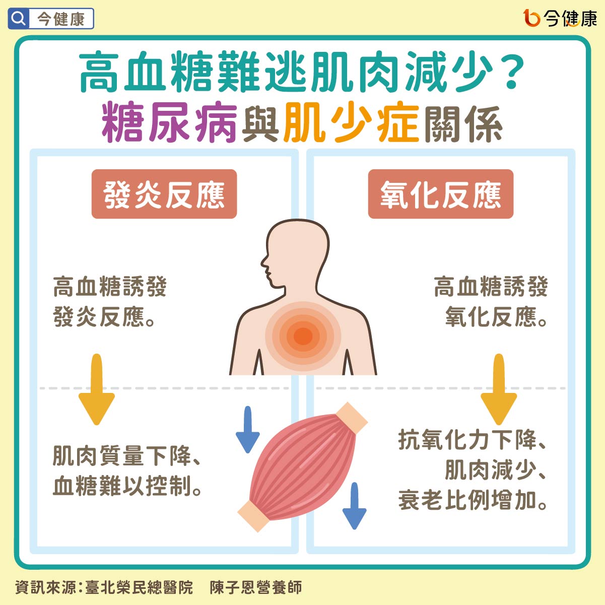 #陳子恩 #高齡 #高齡化 #糖尿病 #肌少症 #高血糖 #蛋白質 #白胺酸 #維生素D