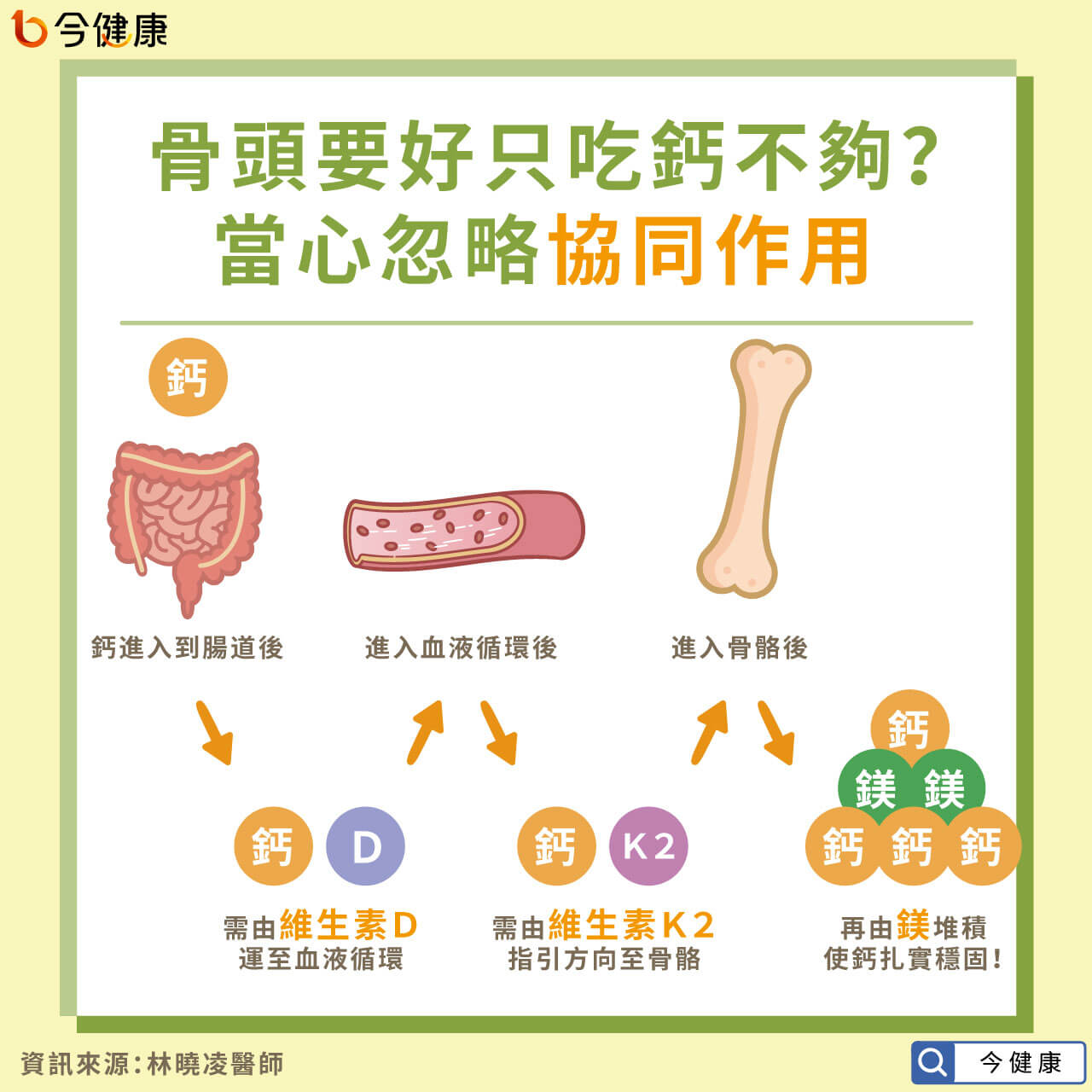 #協同作用 #養骨 #鈣 #維生素D #維生素K2 #鎂 #咖啡