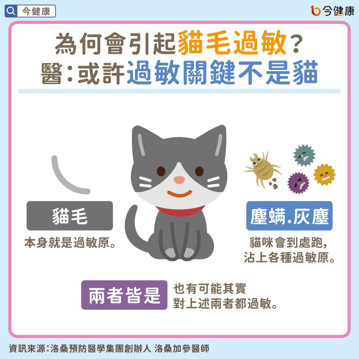 貓毛過敏 對貓過敏怎麼辦 醫教４招逆轉 過敏關鍵未必是貓 今健康