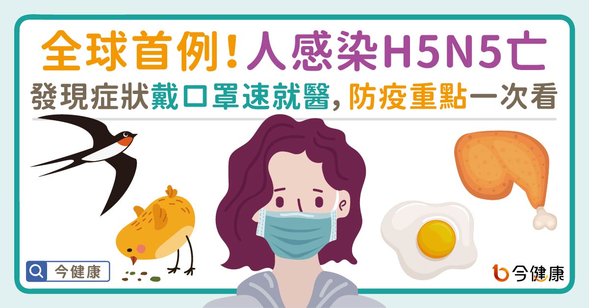 全球首例！人感染H5N5身亡。發現症狀戴口罩速就醫，防疫重點一次看。