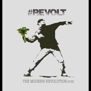 The Modern Revolution