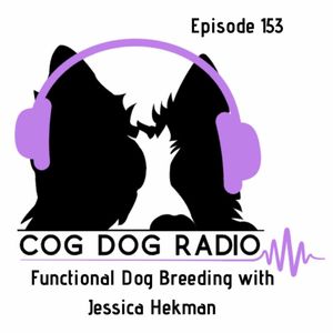 episode art