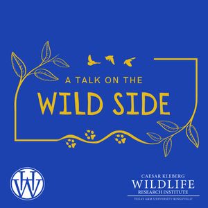 A Talk on the Wild Side