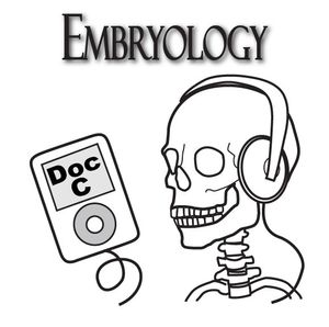 episode art