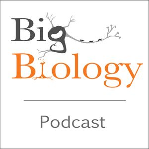 Big Biology