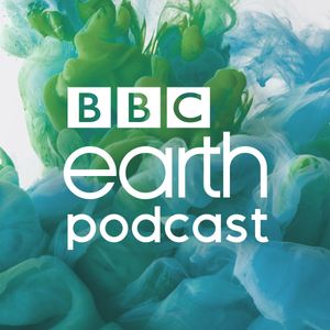 episode art