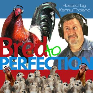 episode art