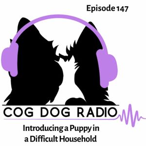 episode art