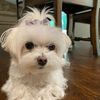 Robyn's profile image
