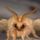 Moth's profile image