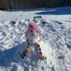 Behavior's profile image