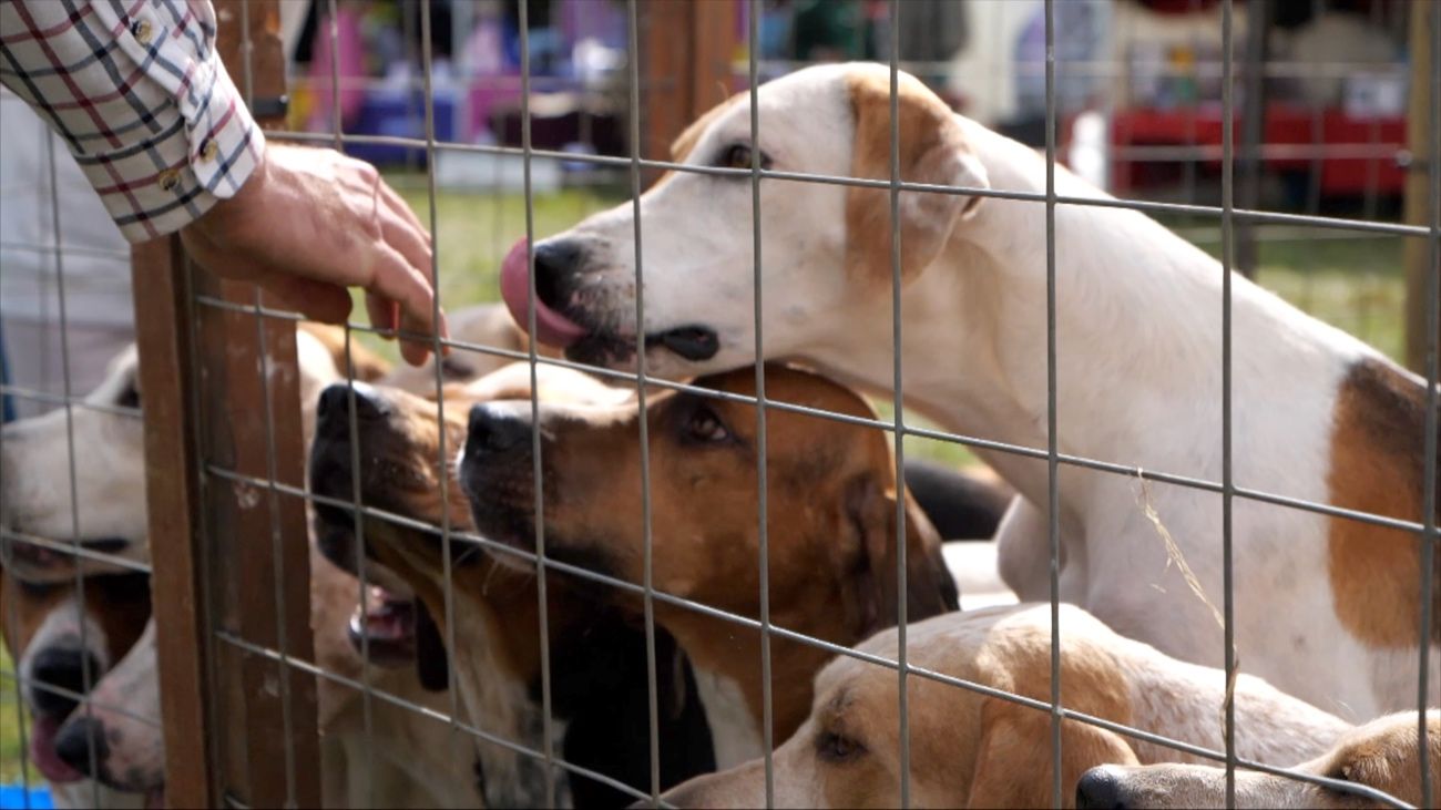 No Smoke Without Fire? Andy Ford writes on Scribehound